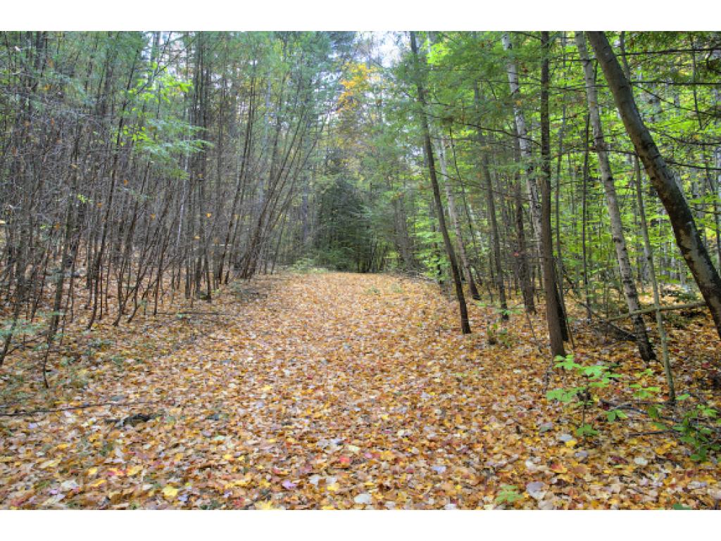 106 Abbot Hill Road Wilton, NH 03086 - Photo 35 of 36