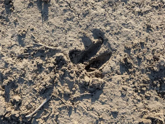 $2,517,350 | 130 Road Craig Mo 64437, Craig, MO 64437