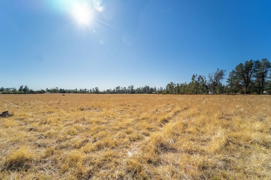 17573 Olinda Road Anderson, CA 96007 - Photo 9 of 16 17573OlindaRoad-7