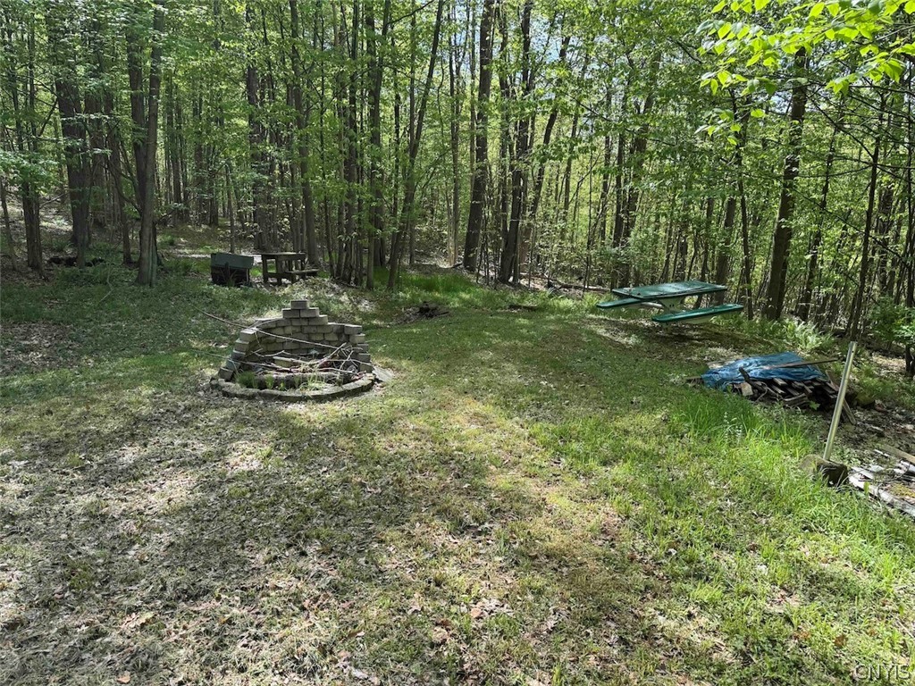 774 Bent Dipper Road Genesee, NY 14721 - Photo 25 of 46