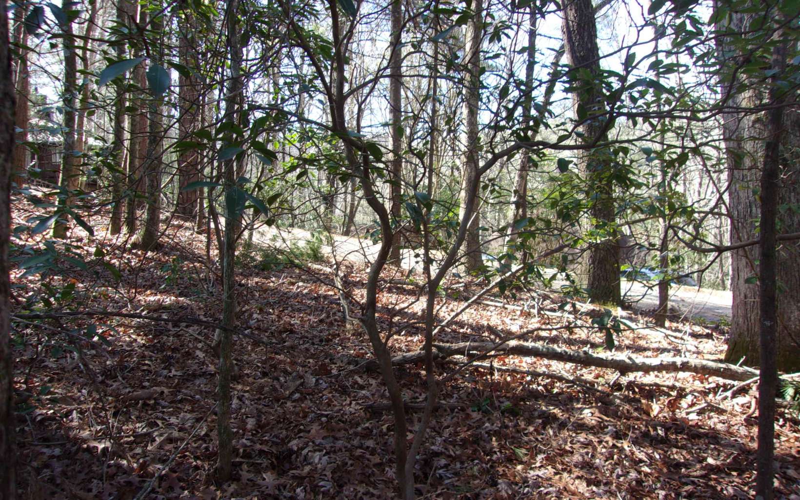 J260 Pine Ridge Road Ellijay, GA 30536 - Photo 16 of 19 a view of covered with green space