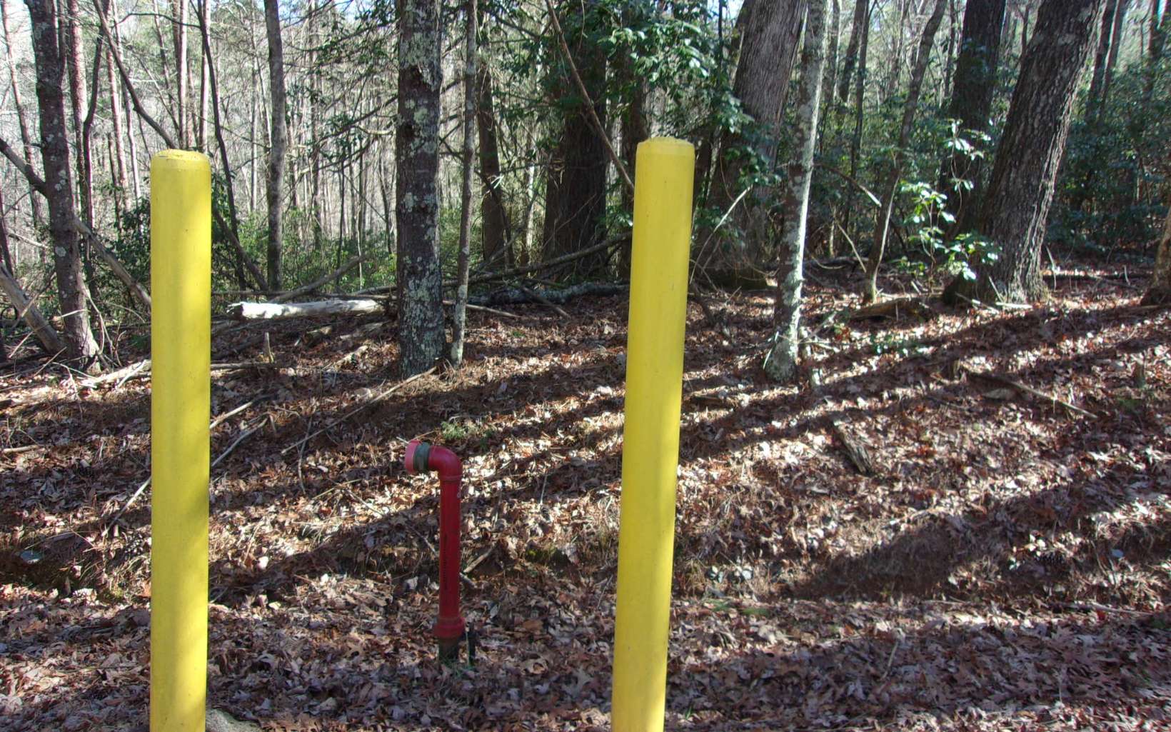 J260 Pine Ridge Road Ellijay, GA 30536 - Photo 5 of 19 a view of a backyard with swimming pool