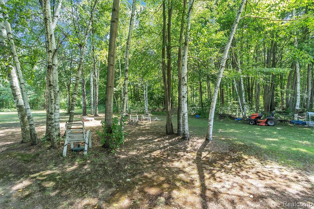 9735 Elms Road Birch Run, MI 48415 - Photo 37 of 39