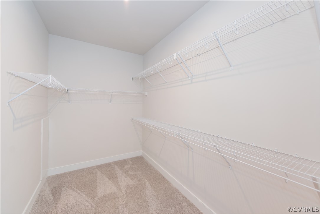 7411 Indian River Run Henrico, VA 23231 - Photo 3 of 17 Walk in closet with carpet flooring