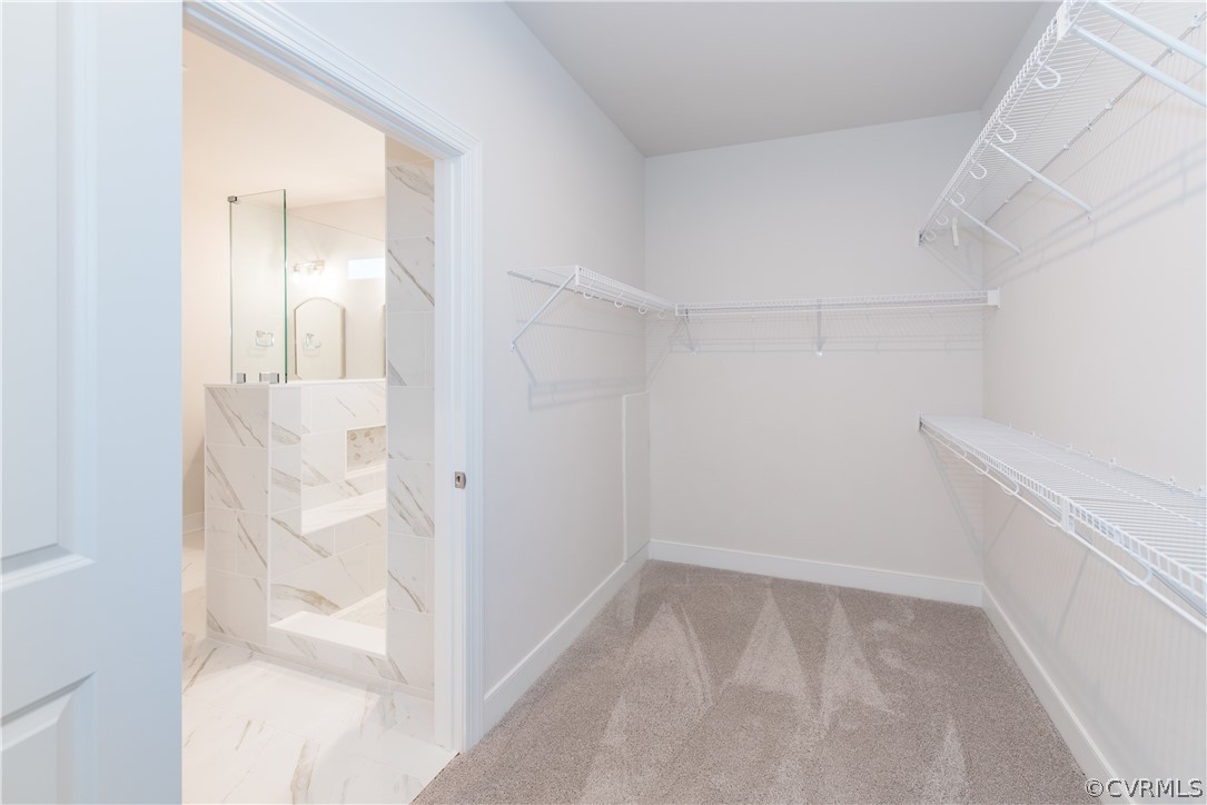 7411 Indian River Run Henrico, VA 23231 - Photo 4 of 17 Walk in closet featuring carpet floors