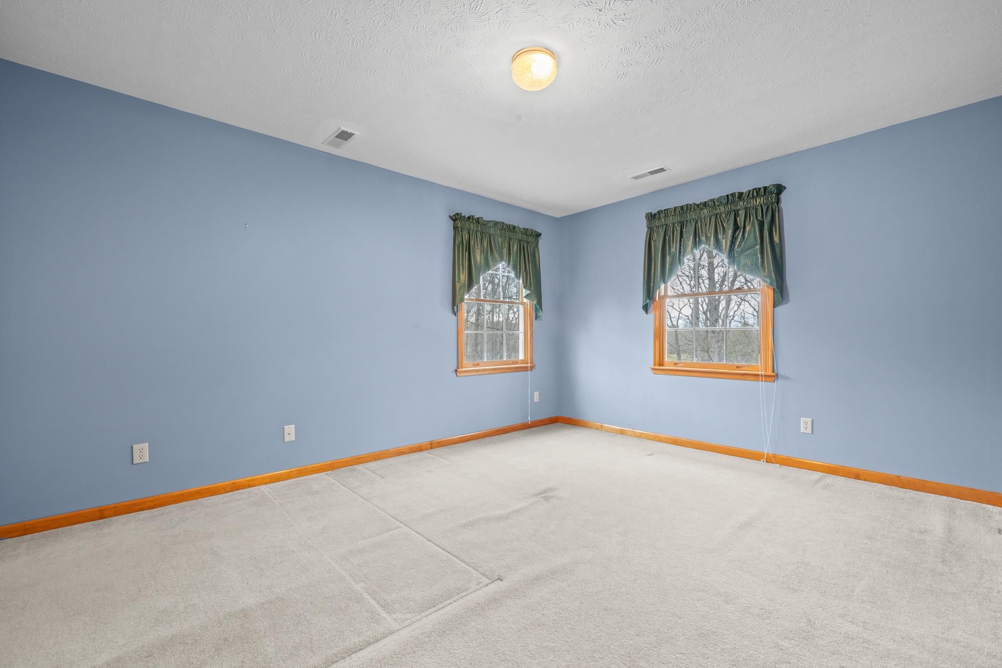 333 Cranberry Drive Stuarts Draft, VA 24477 - Photo 36 of 48 an empty room with windows