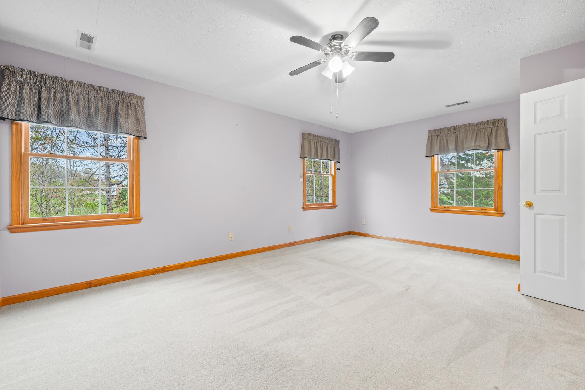 333 Cranberry Drive Stuarts Draft, VA 24477 - Photo 45 of 48 an empty room with windows and fan