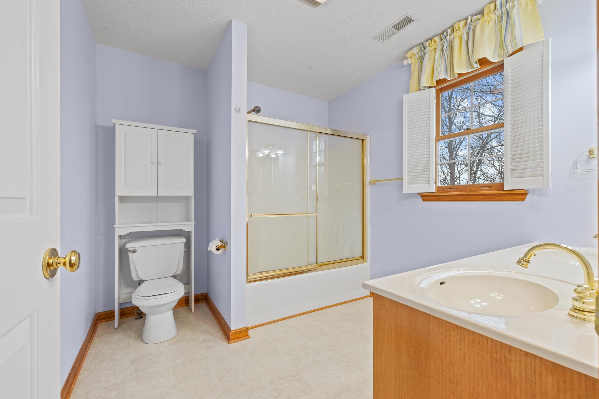 333 Cranberry Drive Stuarts Draft, VA 24477 - Photo 48 of 48 a bathroom with a sink a toilet and shower