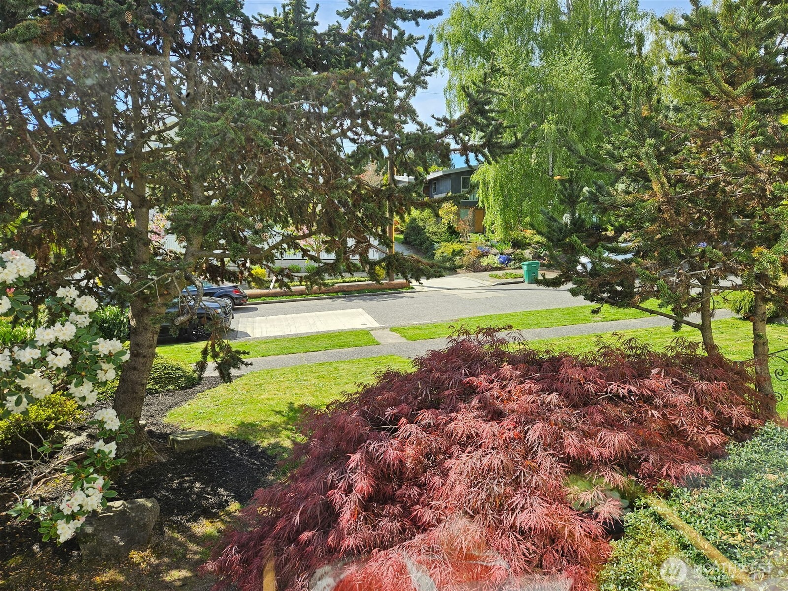 4836 51st Avenue Southwest Seattle, WA 98116 - Photo 5 of 26