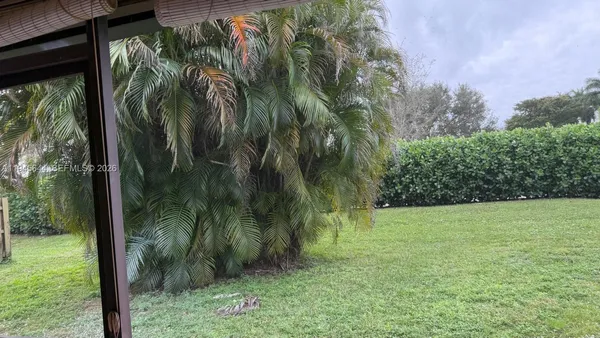 a view of a yard
