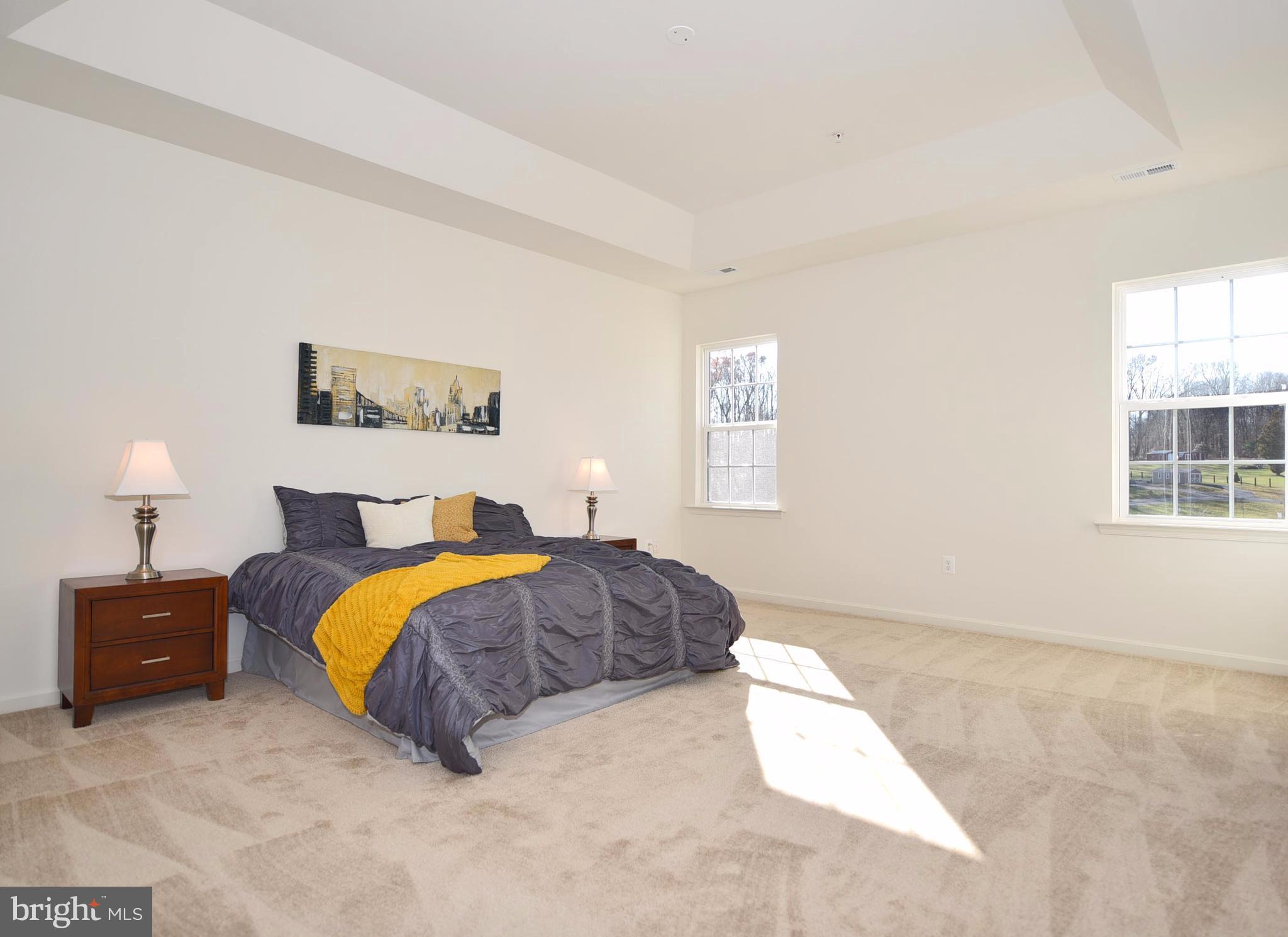 807 Coen Road Street, MD 21154 - Photo 19 of 30 Bedroom (Master)