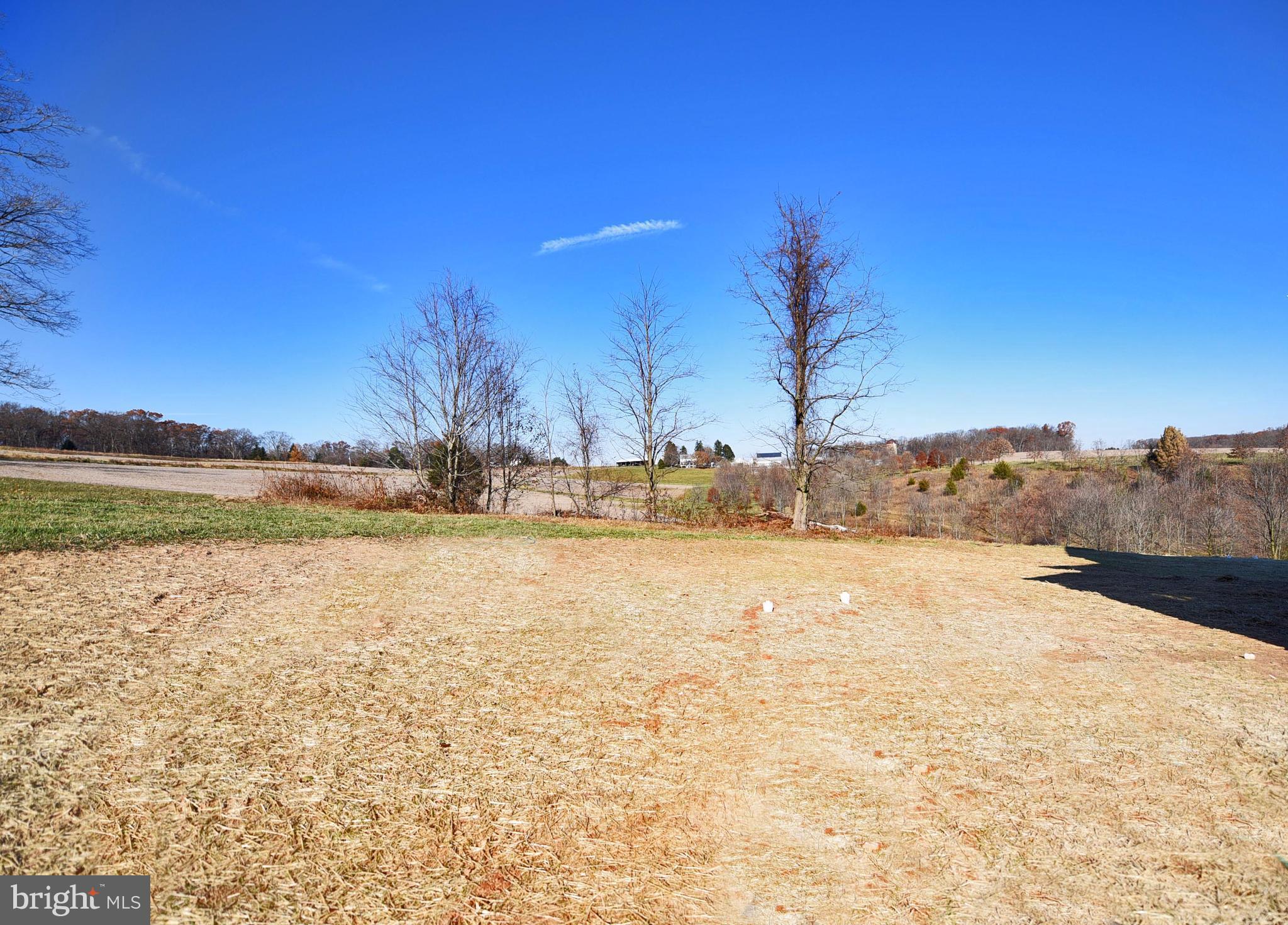807 Coen Road Street, MD 21154 - Photo 30 of 30 Exterior (Rear)