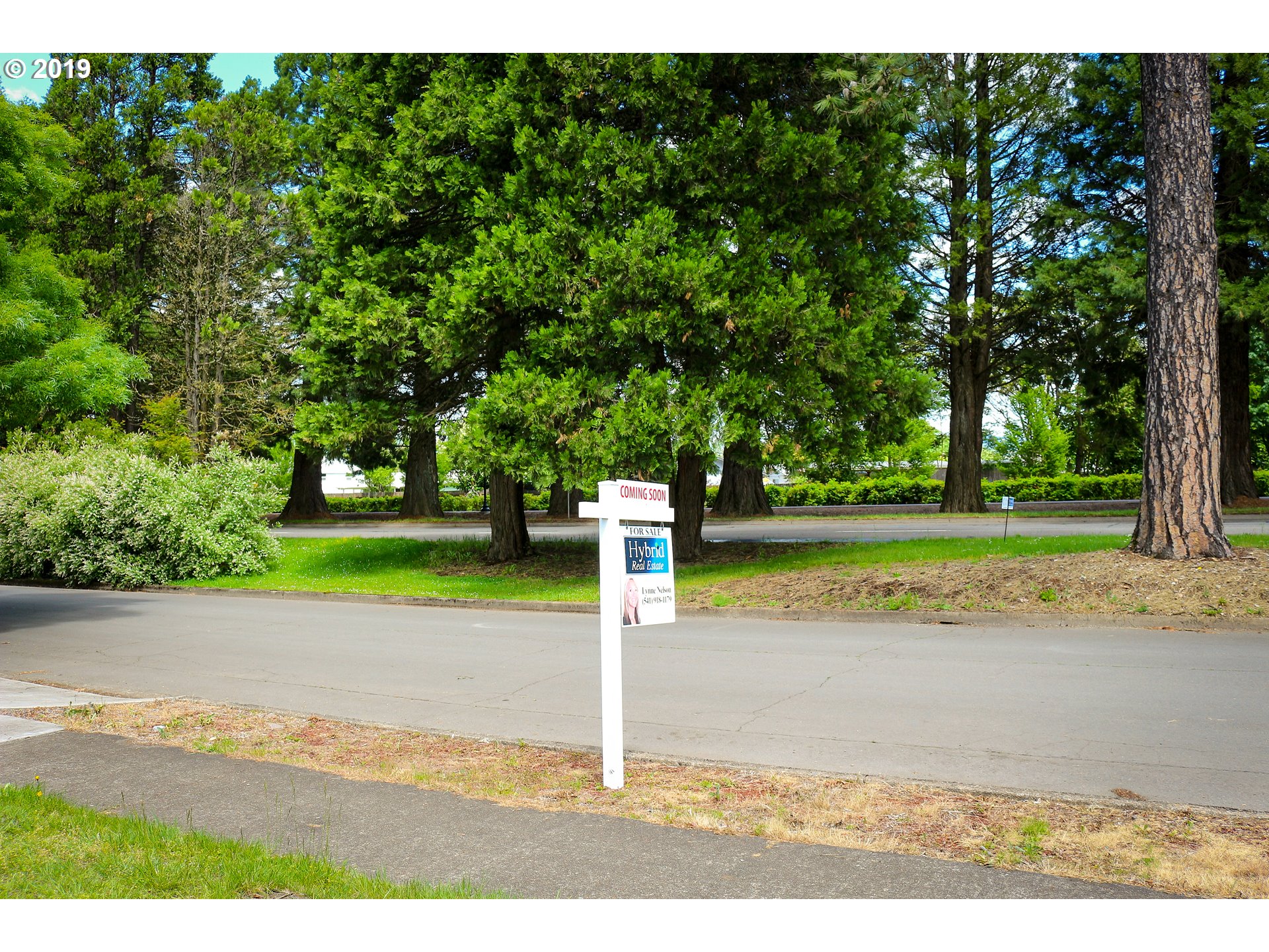 1006 1st Place Springfield, OR 97477 - Photo 4 of 29