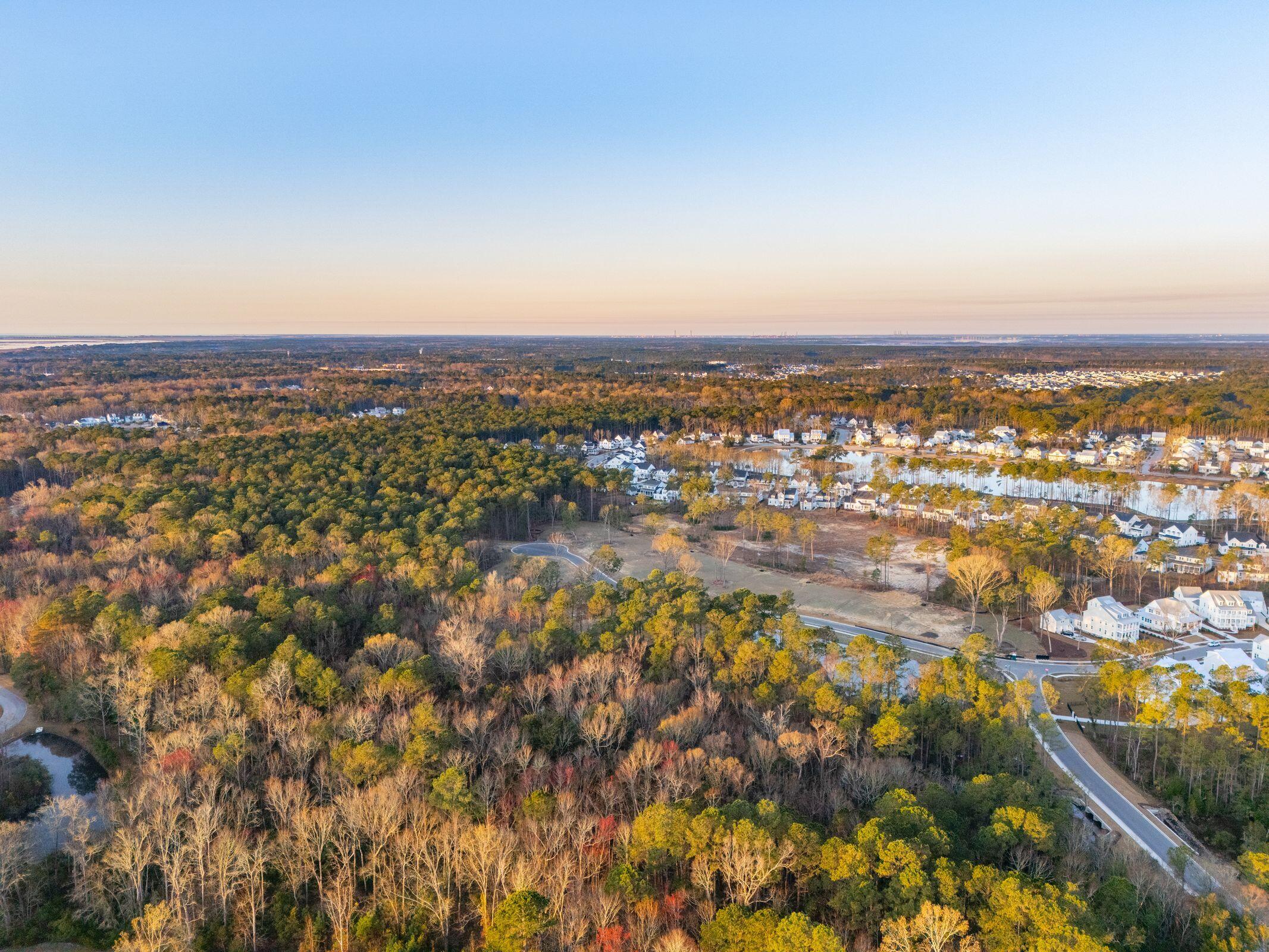 3873 Summerton Street Mount Pleasant, SC 29466 - Photo 66 of 74 The Preserve with Bolden Lake in backgro