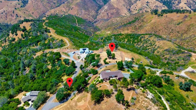 a picture of flowers