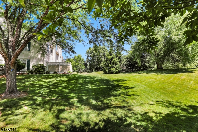 10 Raleigh Court Bernards, NJ 07920 - Photo 39 of 46