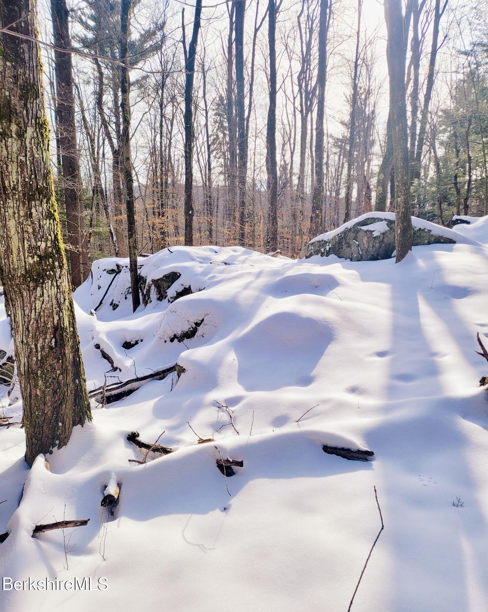 Lot 2 Leland Road Becket, MA 01223 - Photo 20 of 25 Winter views