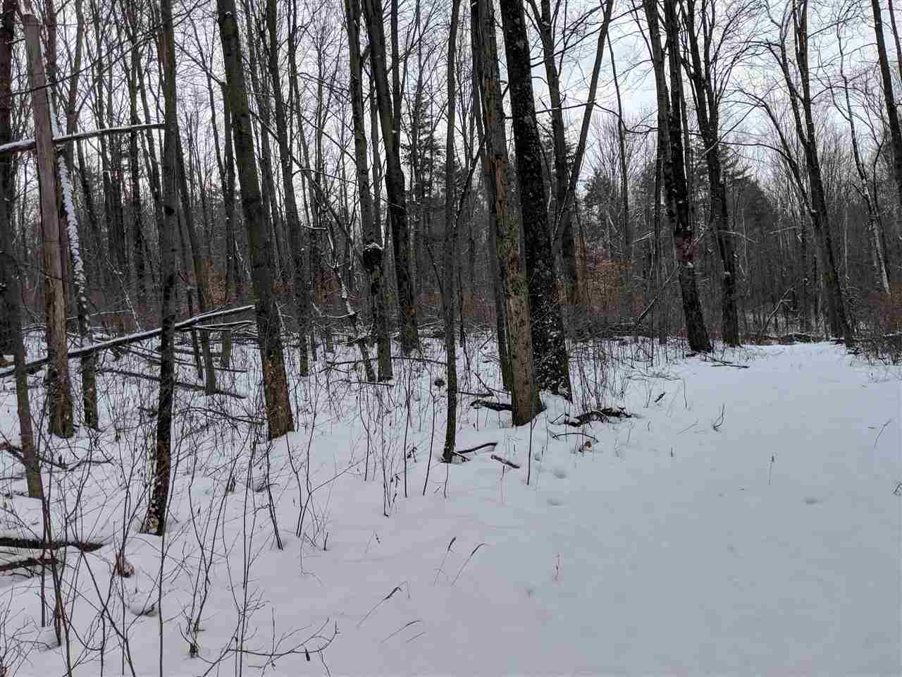 Lot #1 Butternut Road Williston, VT 05495 - Photo 1 of 16