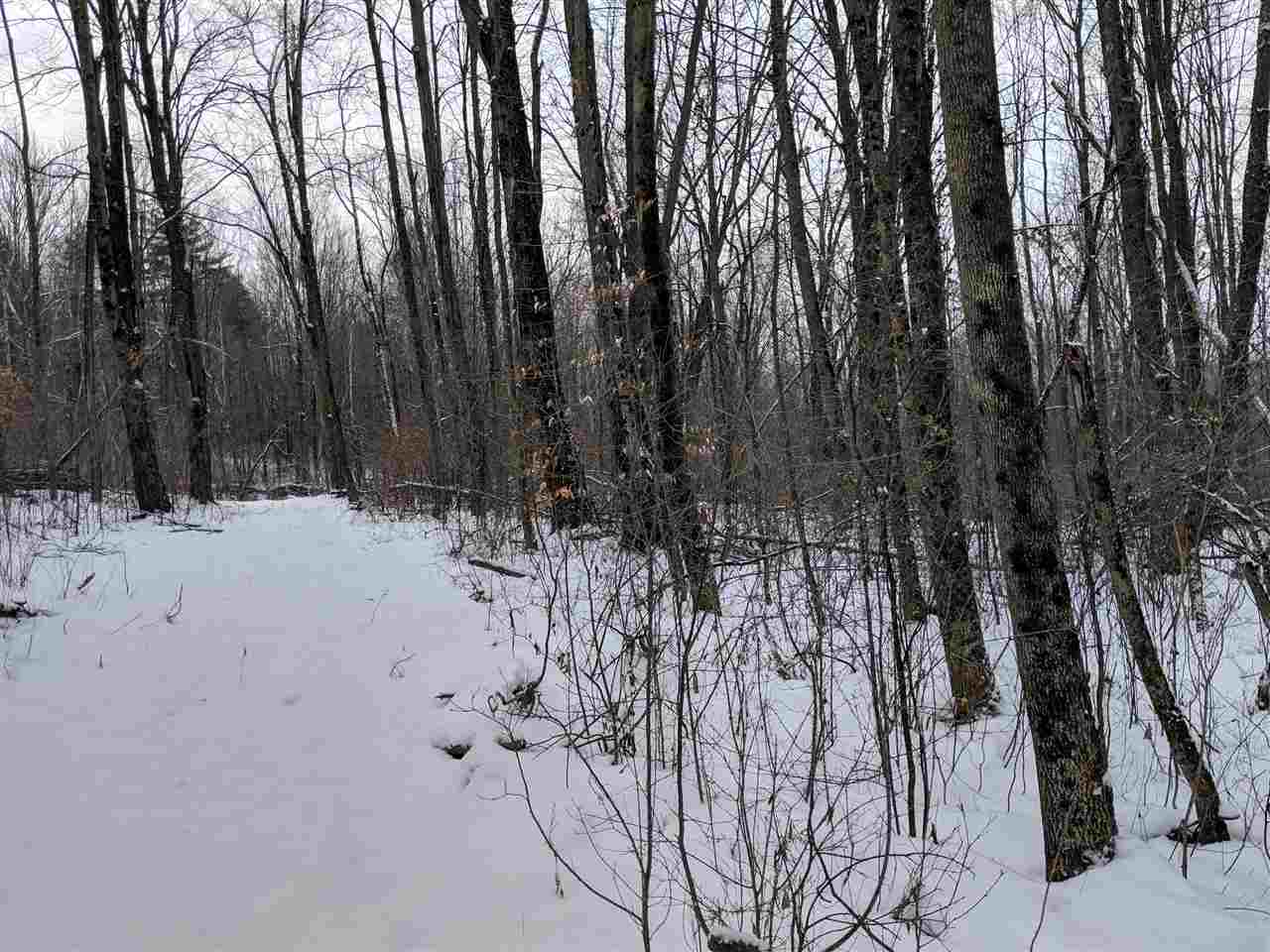 Lot #1 Butternut Road Williston, VT 05495 - Photo 2 of 16