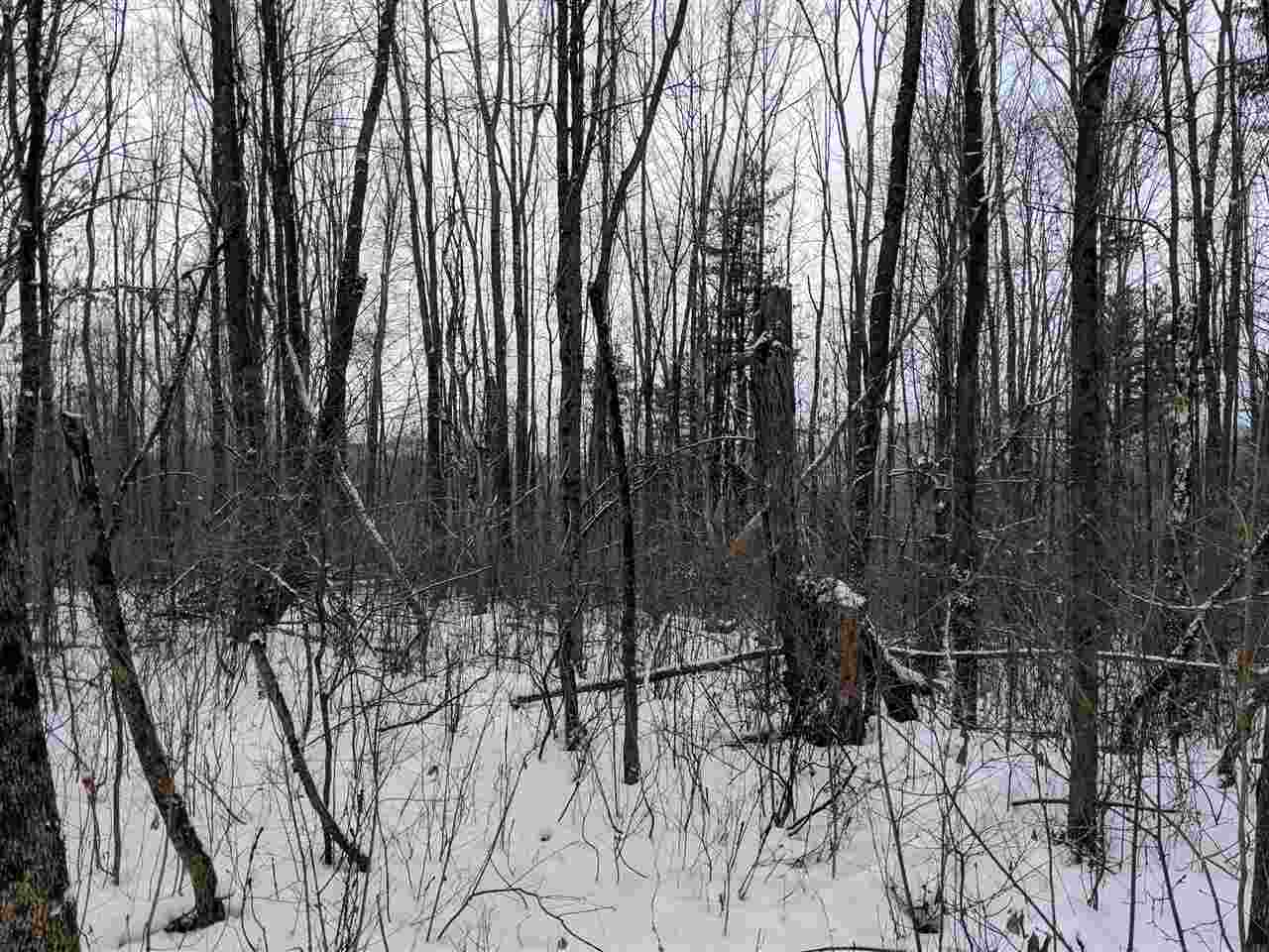 Lot #1 Butternut Road Williston, VT 05495 - Photo 11 of 16
