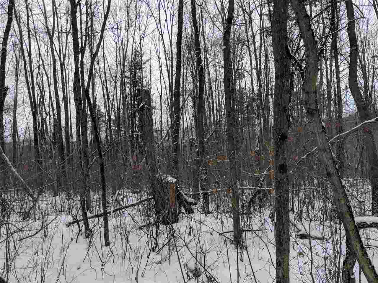 Lot #1 Butternut Road Williston, VT 05495 - Photo 12 of 16