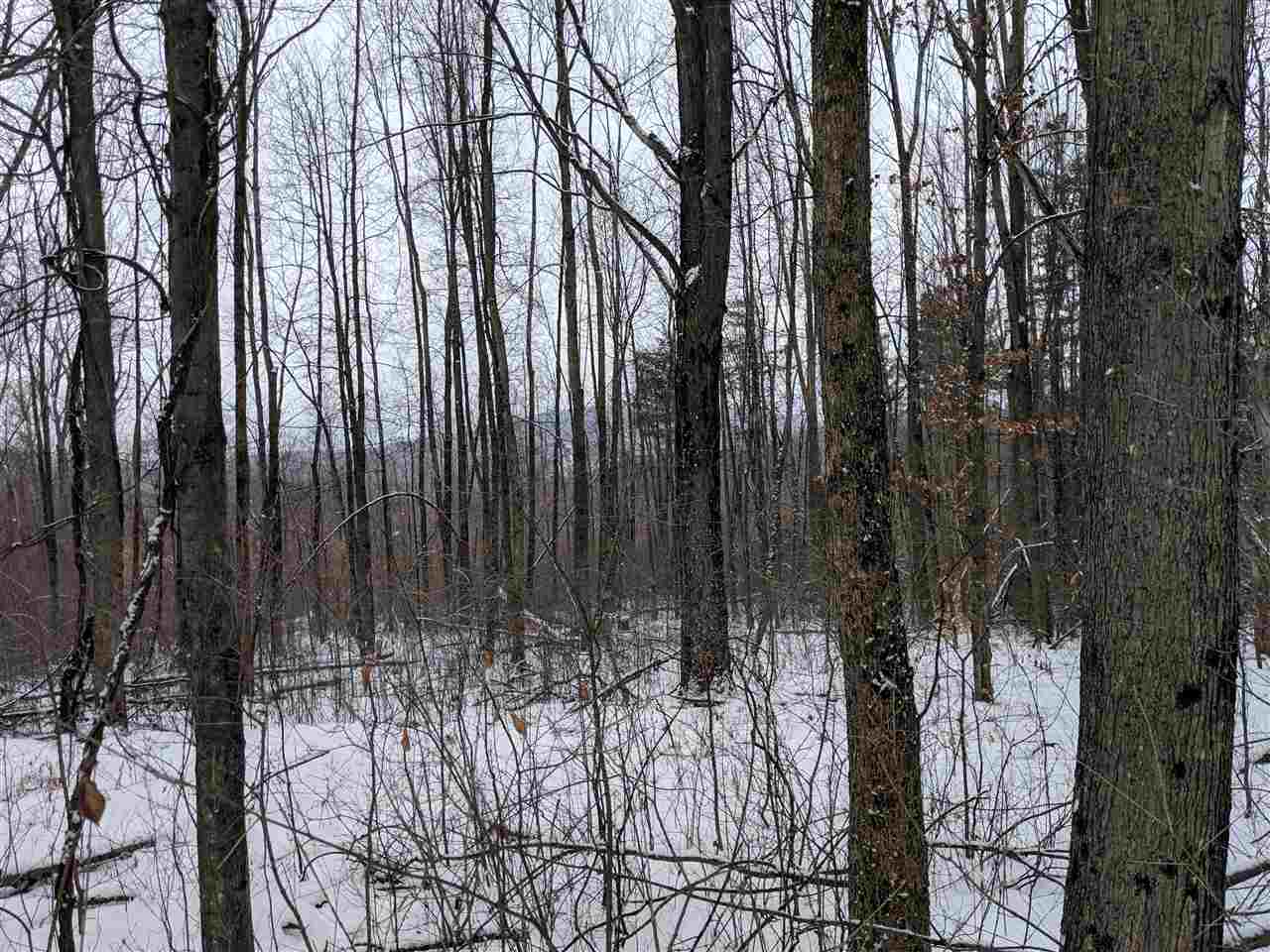 Lot #1 Butternut Road Williston, VT 05495 - Photo 13 of 16