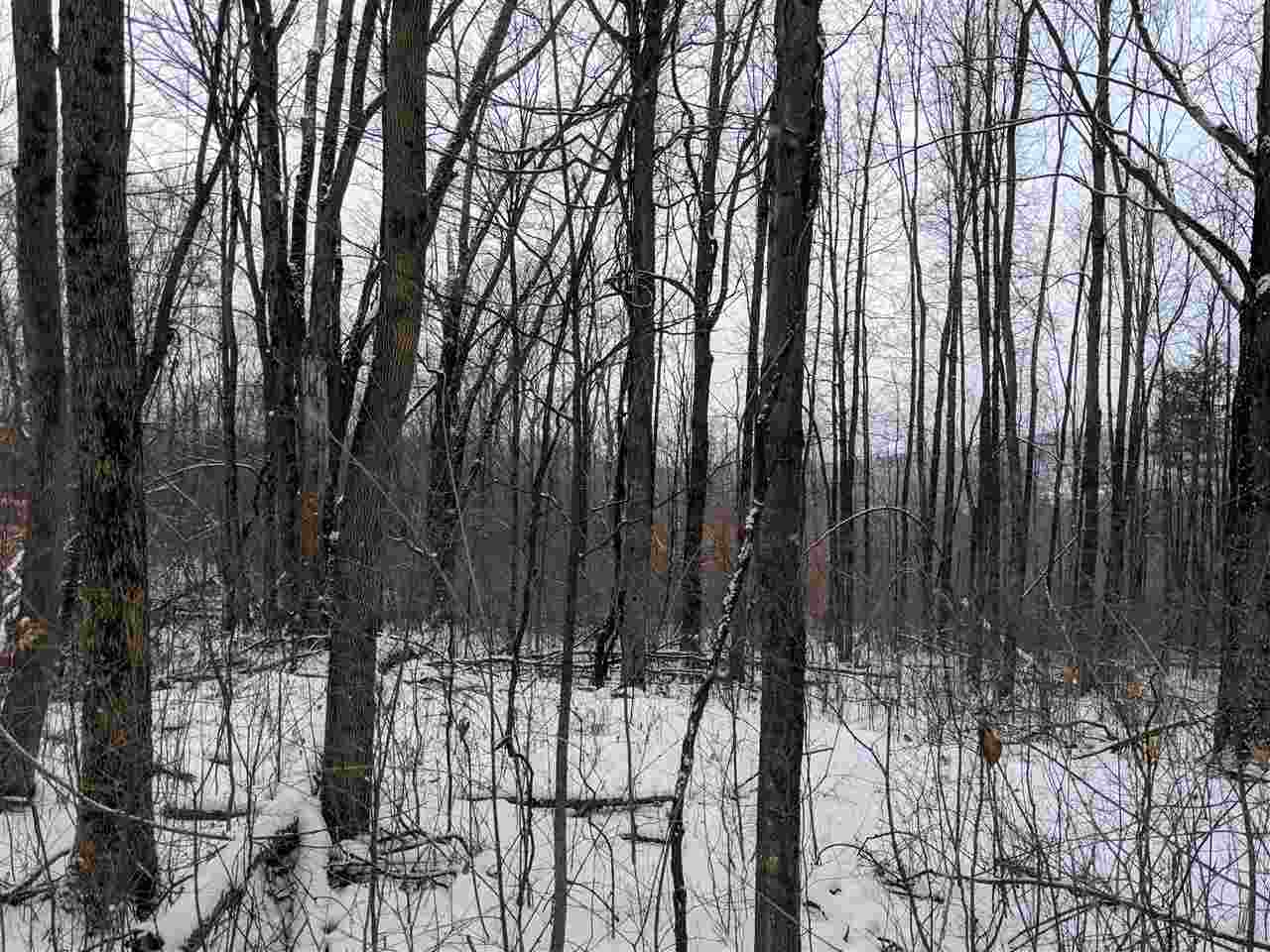 Lot #1 Butternut Road Williston, VT 05495 - Photo 14 of 16