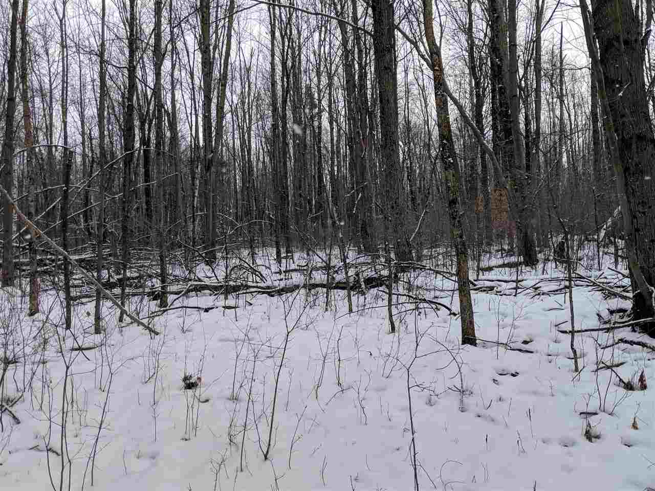 Lot #1 Butternut Road Williston, VT 05495 - Photo 15 of 16