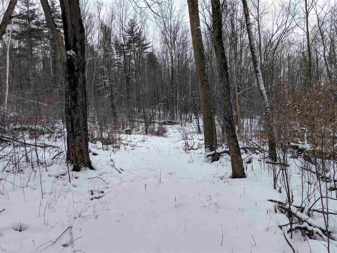 Lot #1 Butternut Road Williston, VT 05495 - Photo 16 of 16