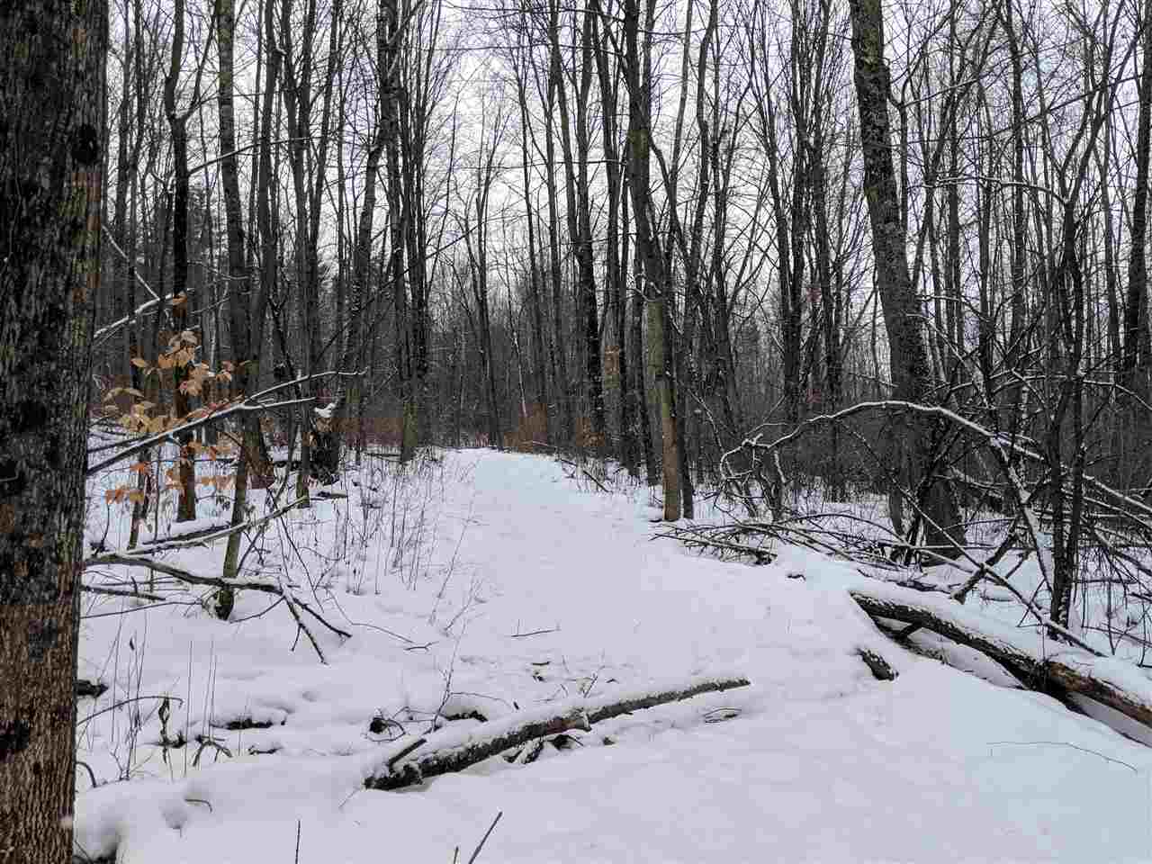 Lot #1 Butternut Road Williston, VT 05495 - Photo 3 of 16