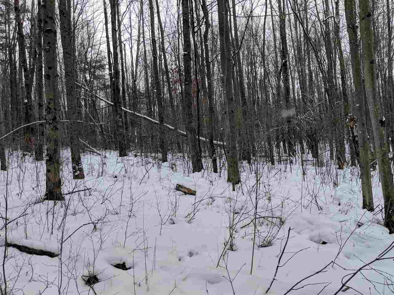 Lot #1 Butternut Road Williston, VT 05495 - Photo 4 of 16