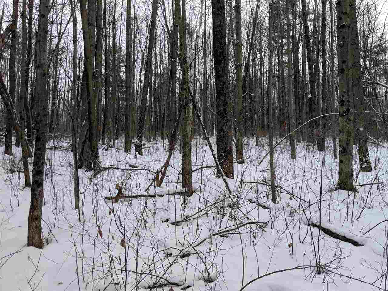 Lot #1 Butternut Road Williston, VT 05495 - Photo 5 of 16