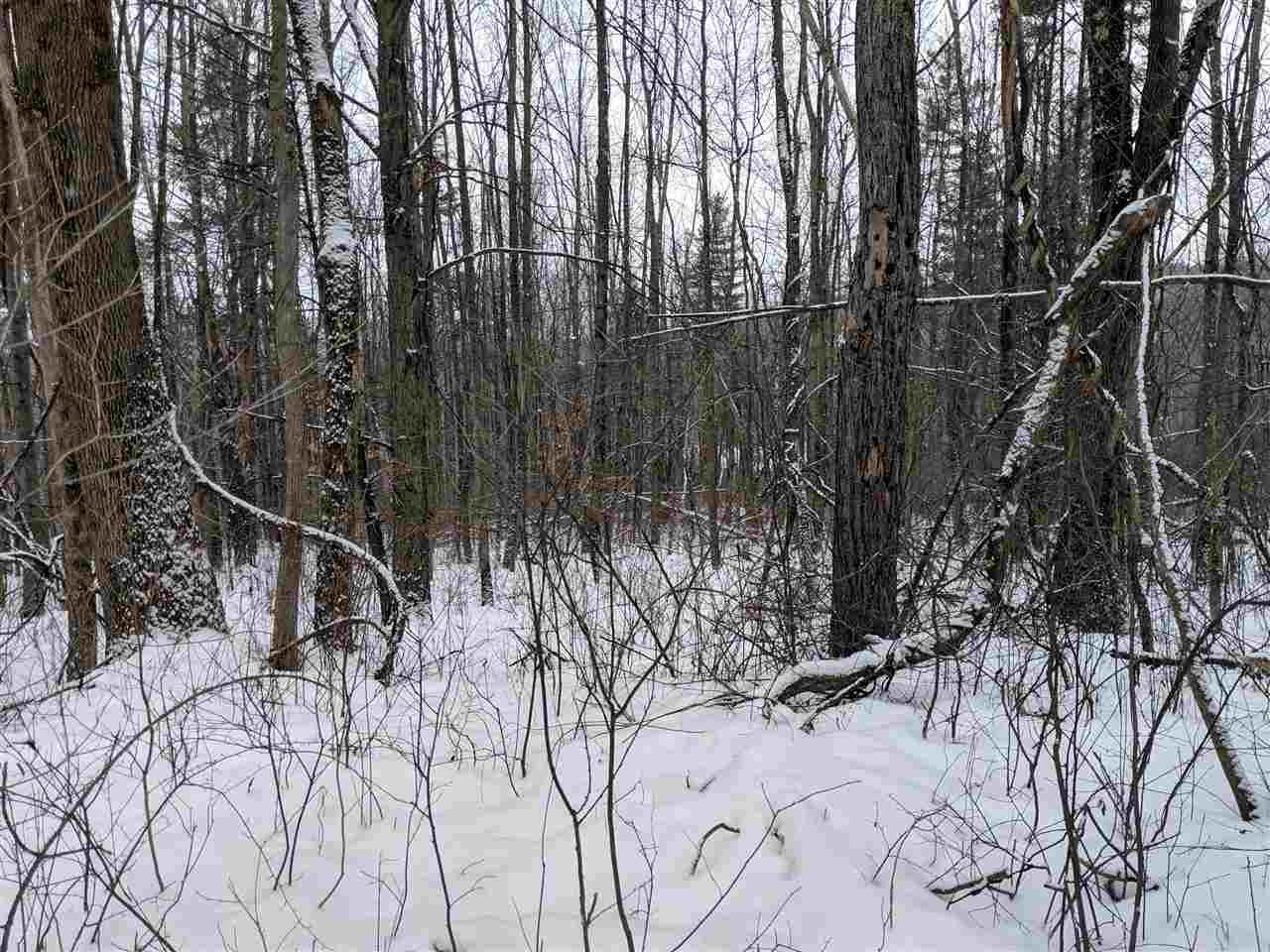 Lot #1 Butternut Road Williston, VT 05495 - Photo 6 of 16