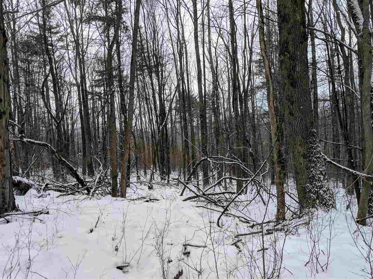 Lot #1 Butternut Road Williston, VT 05495 - Photo 7 of 16