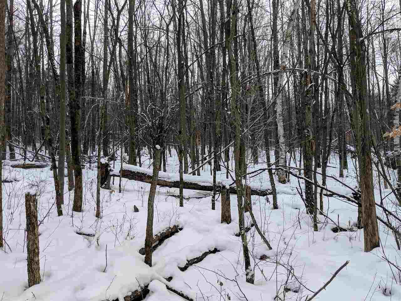 Lot #1 Butternut Road Williston, VT 05495 - Photo 8 of 16