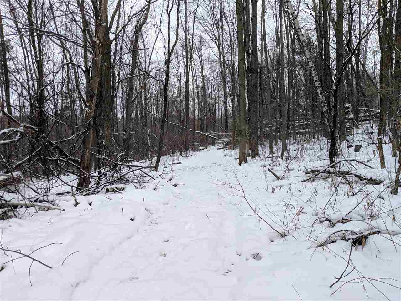 Lot #1 Butternut Road Williston, VT 05495 - Photo 9 of 16