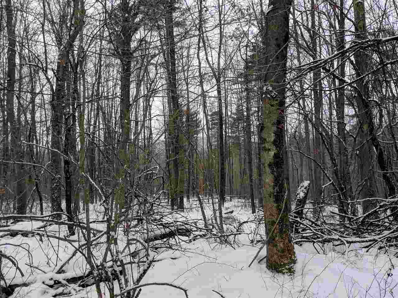 Lot #1 Butternut Road Williston, VT 05495 - Photo 10 of 16