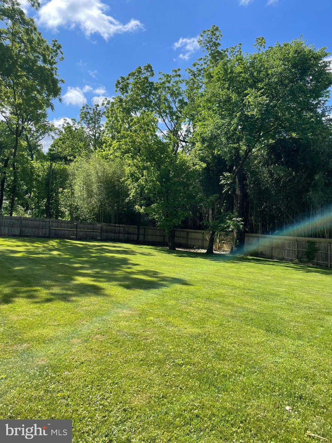 259-261 Mt Lucas Road Princeton, NJ 08540 - Photo 13 of 60 Backyard 9