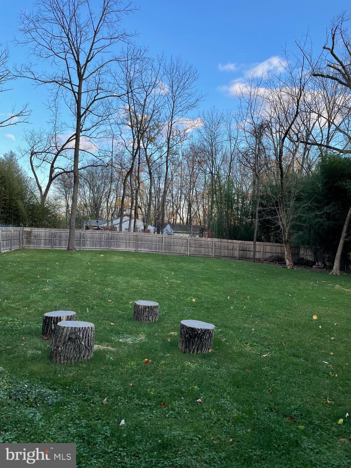 259-261 Mt Lucas Road Princeton, NJ 08540 - Photo 14 of 60 Backyard 10