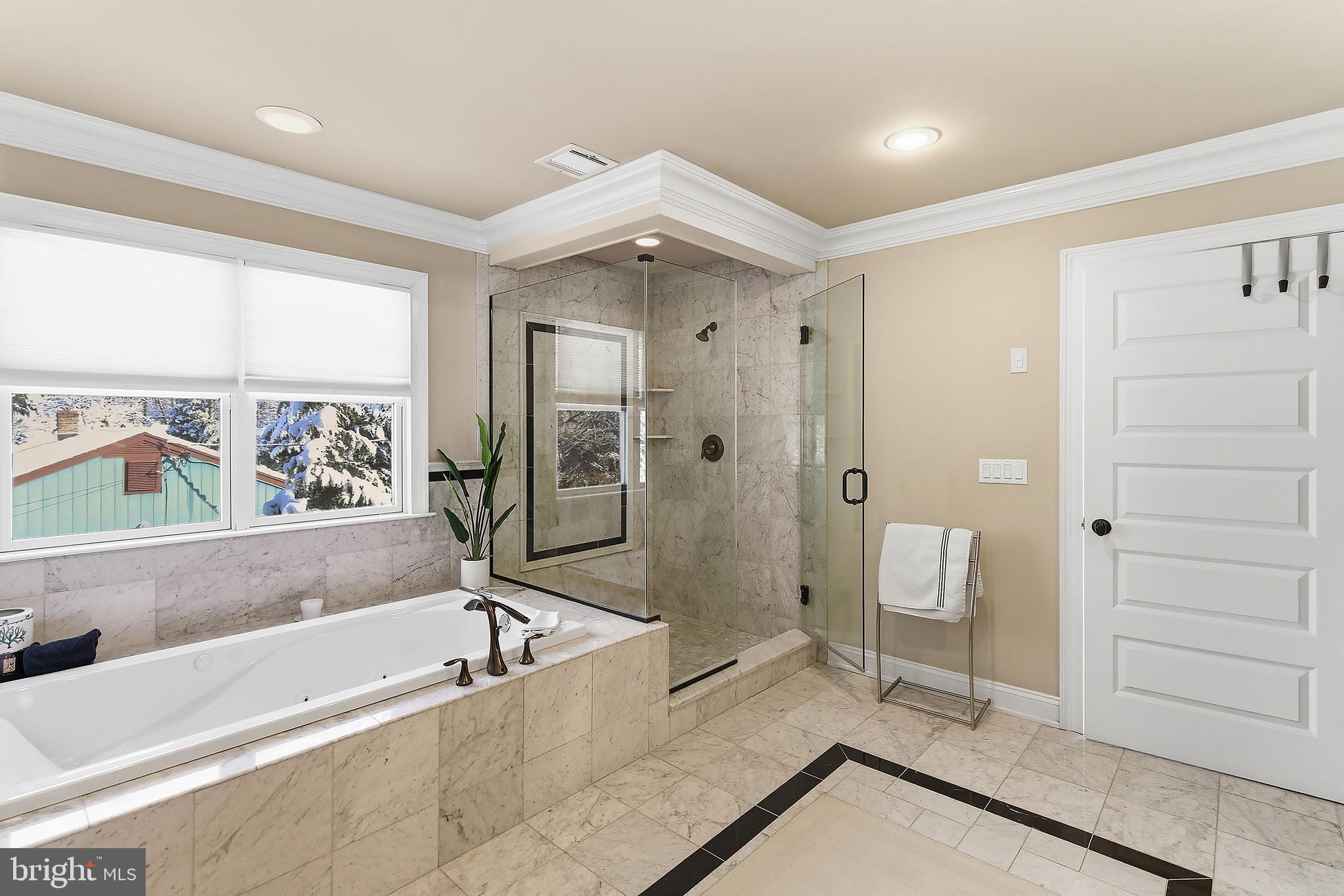 259-261 Mt Lucas Road Princeton, NJ 08540 - Photo 47 of 60 Hot Tube, Shower in Master Bedroom 1