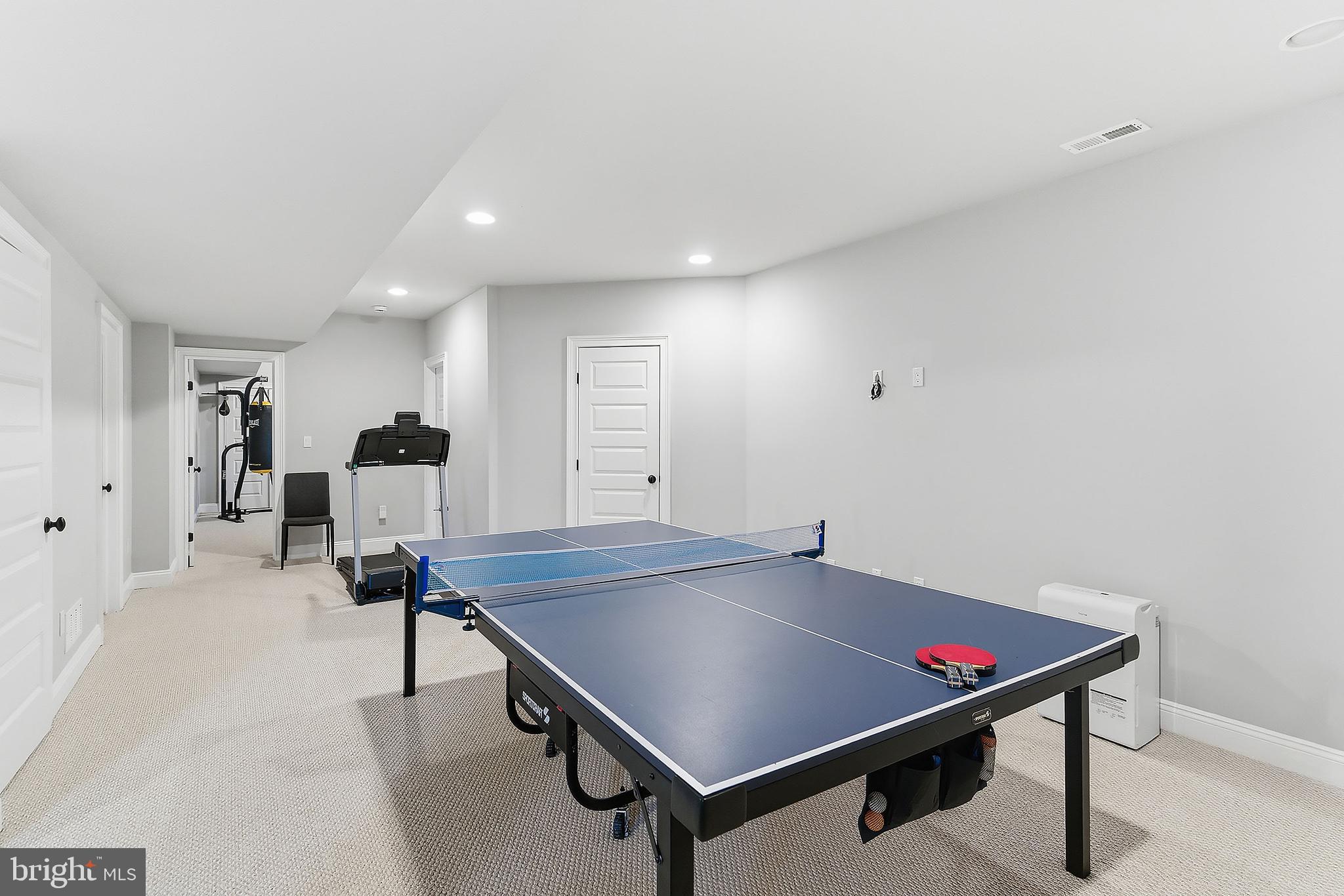 259-261 Mt Lucas Road Princeton, NJ 08540 - Photo 52 of 60 Basement 3