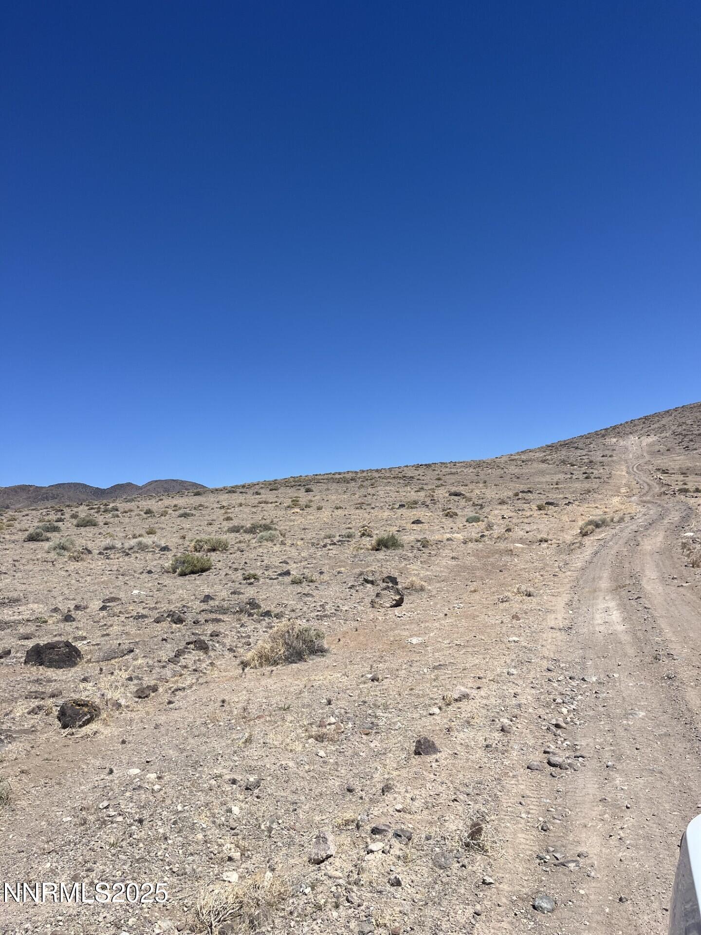 8800 Wildflower Road Stagecoach, NV 89429 - Photo 2 of 5 a view of yard and mountain view