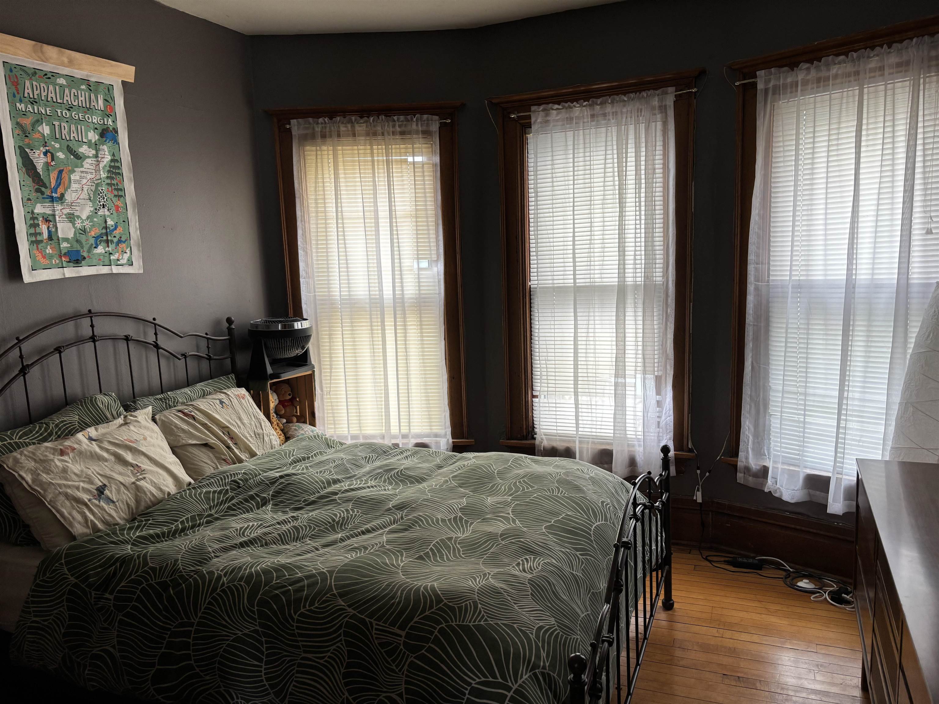 804 Jenifer Street Madison, WI 53703 - Photo 11 of 16