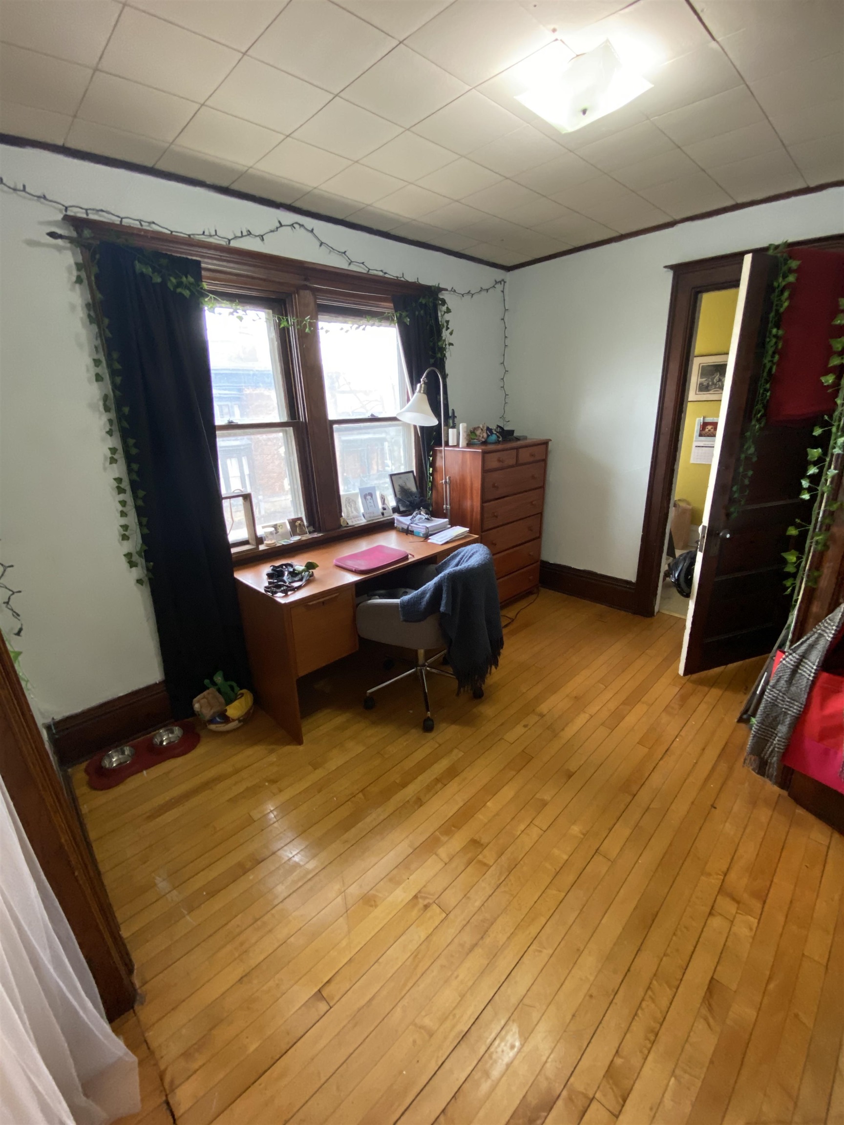 804 Jenifer Street Madison, WI 53703 - Photo 9 of 16