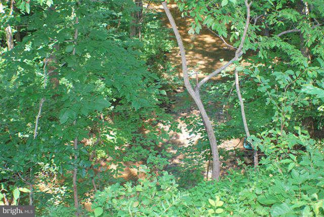 1908 Pleasant View Road Adamstown, MD 21710 - Photo 9 of 29 Exterior Rear