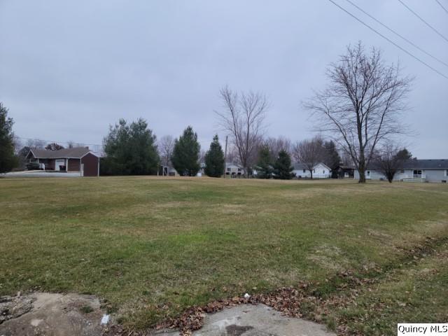 110 Wabash Avenue Carthage, IL 62321 - Photo 2 of 2
