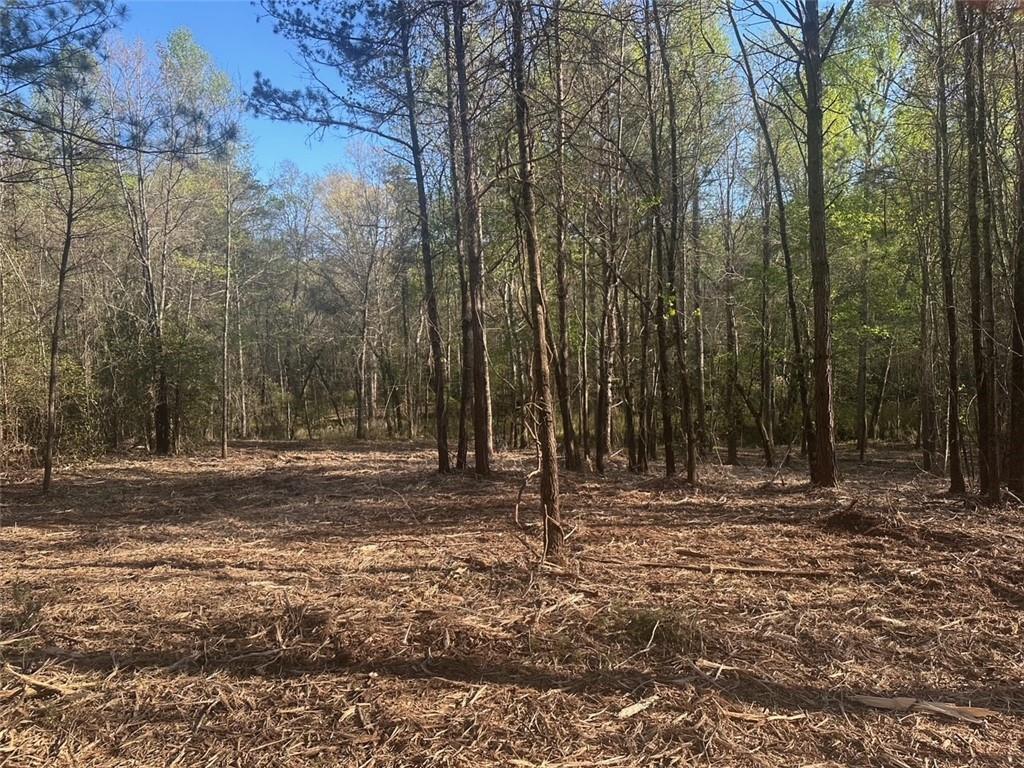 0 Lee Mashburn Road Dahlonega, GA 30533 - Photo 1 of 19