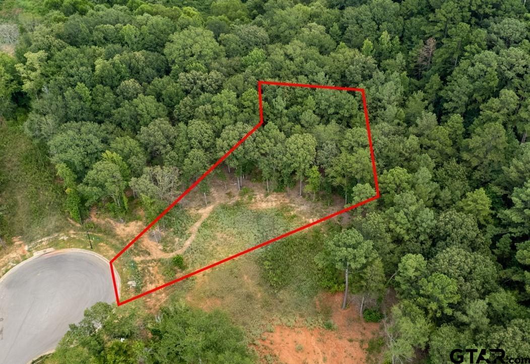 9299 Caddo Rdg Cove Tyler, TX 75703 - Photo 5 of 23