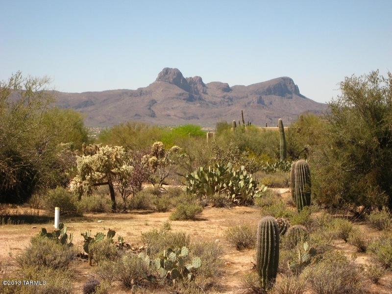 10330 North Blue Bonnet Road Tucson, AZ 85742 - Photo 16 of 21