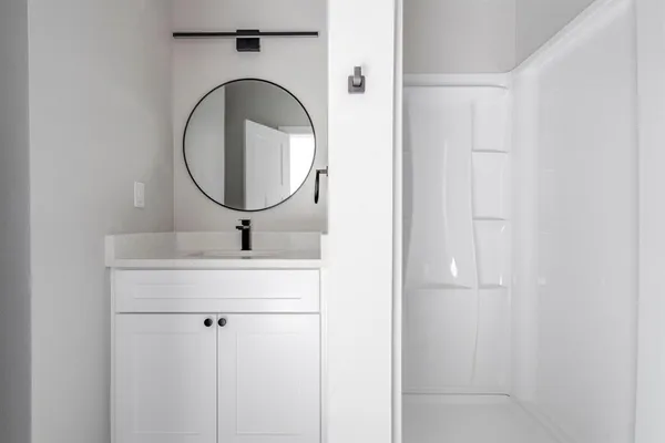 a bathroom with a sink a mirror and a shower